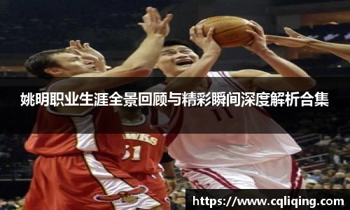 姚明职业生涯全景回顾与精彩瞬间深度解析合集